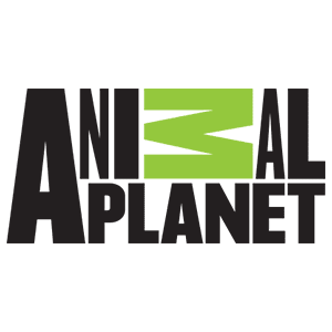 Animal Planet logo with no background